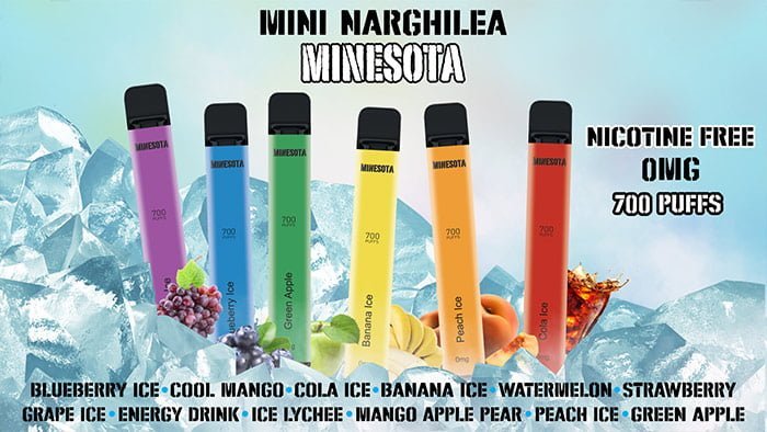 mini narghilea minesota
